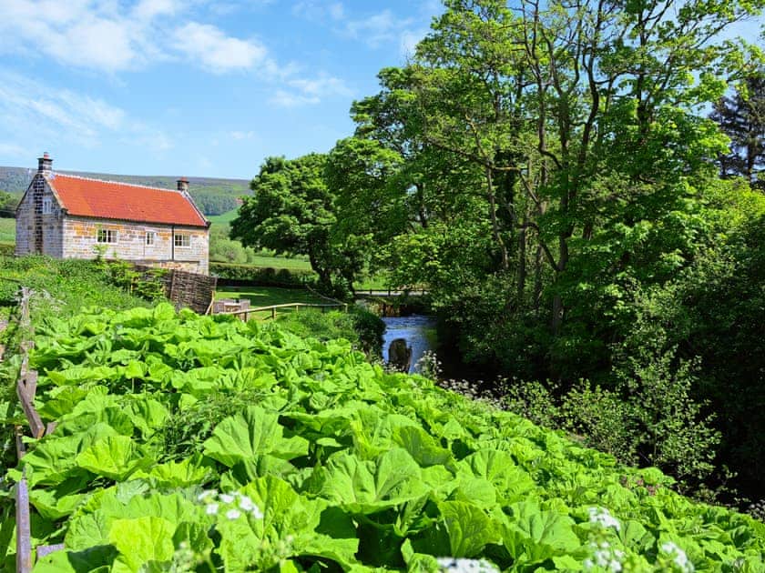 Surrounding area | Todd’s Pasture, Hawnby, near Helmsley