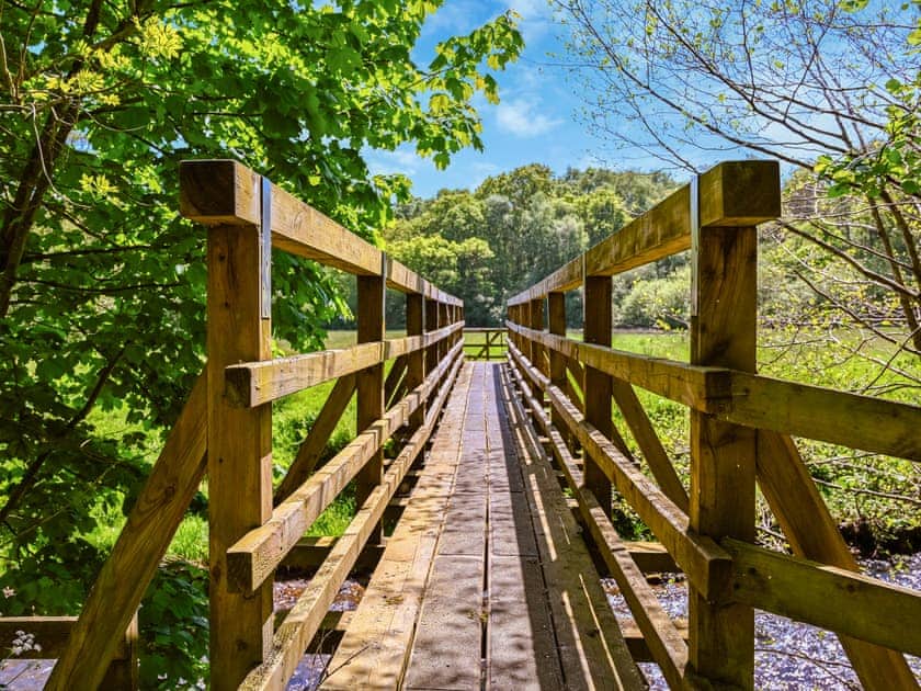 Surrounding area | Todd’s Pasture, Hawnby, near Helmsley
