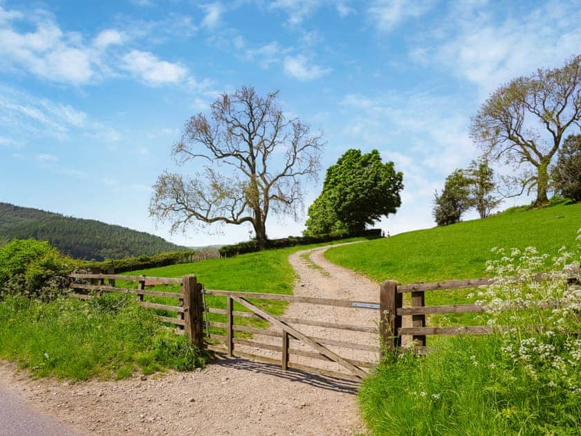 Surrounding area | Todd’s Pasture, Hawnby, near Helmsley