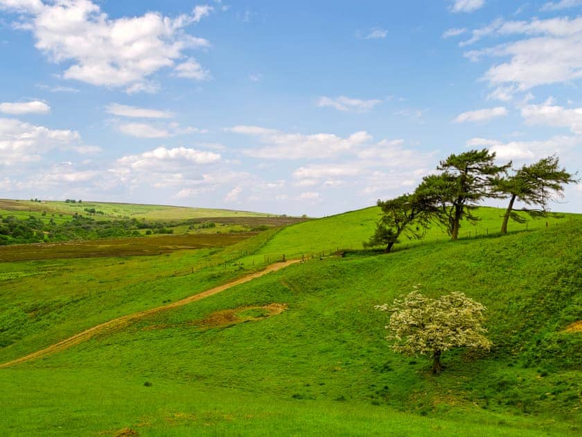 Surrounding area | Todd’s Pasture, Hawnby, near Helmsley