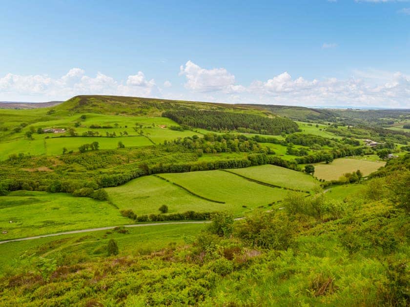 Surrounding area | Todd’s Pasture, Hawnby, near Helmsley
