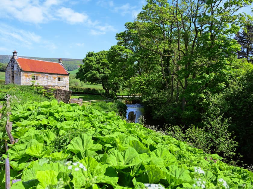 Surrounding area | Ristbrow Farm, Hawnby