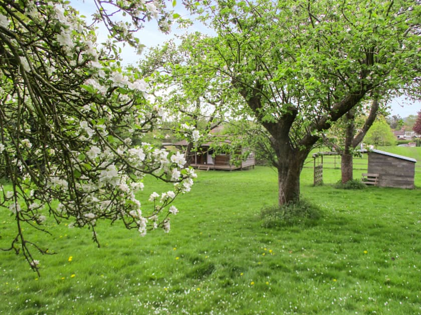 Outdoor area | Bramley Orchard Lodge, Retford