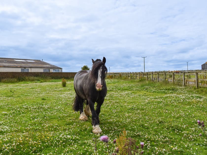 Surrounding area | The Barn, Houghton Le Spring, near Durham
