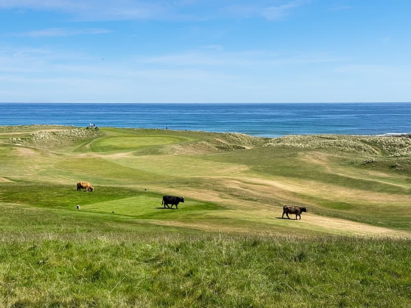 Surrounding area | No.4 The Links Apartments, Brora