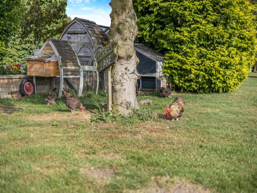 Surrounding area | Kingfisher - Alvingham Fishing Lakes, Louth