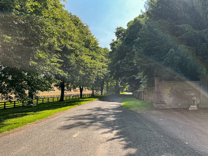Surrounding area | Gardeners Cottage, Wooler