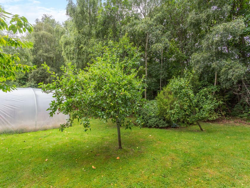 Garden and grounds | Bridge House, Evanton, near Dingwall