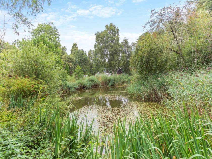 Garden and grounds | Bridge House, Evanton, near Dingwall