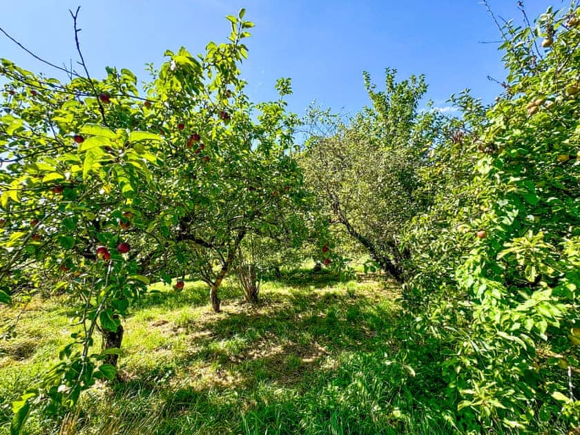 Garden and grounds | The Garden House, Norton St Philip, near Bath