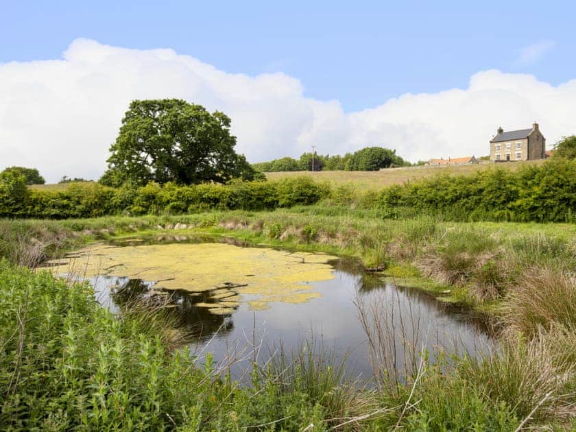 Extensive grounds | Thirley Cotes Farmhouse, Harwood Dale, near Scarborough