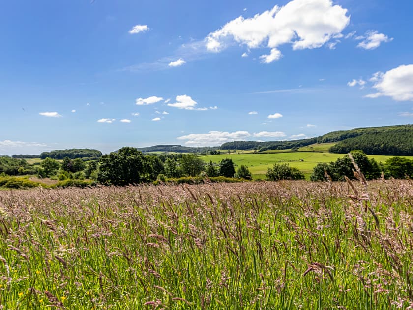 Surrounding area | Holly Cottage, Harwood Dale, near Scarborough