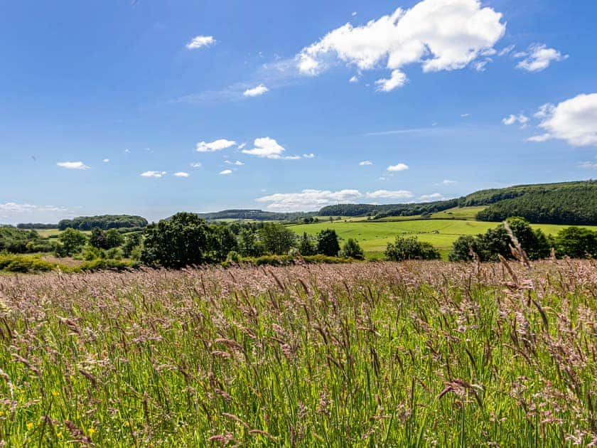 Surrounding area | Pear Tree Cottage, Harwood Dale, near Scarborough