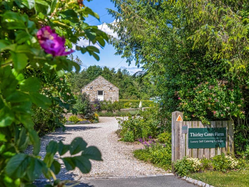 Driveway | Pear Tree Cottage, Harwood Dale, near Scarborough