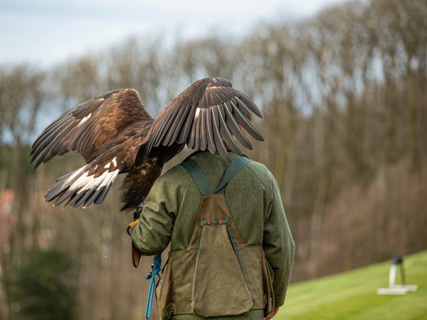 Surrounding area | Royal Dornoch - Lands of Turnberry Cottage, Turnberry