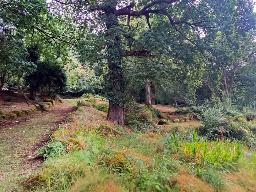 Garden and grounds | Brook Lodge - Dartmoor Lodges, Doccombe, near Dunsford 