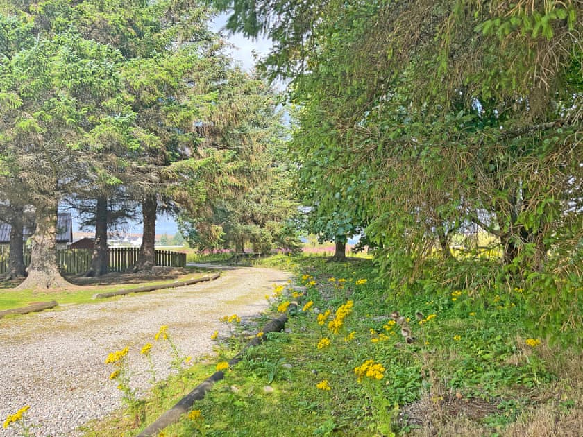 Surrounding area | River View, Dalwhinnie