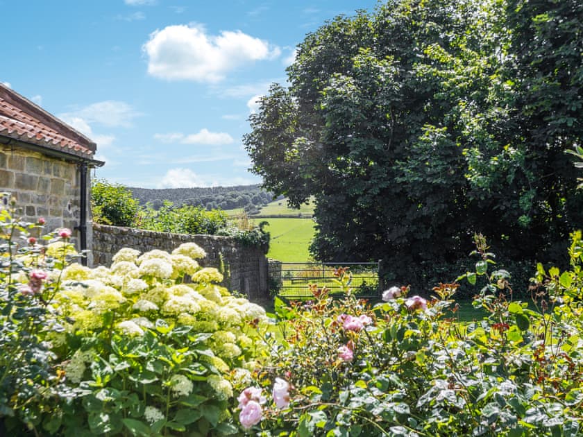 View | Walnut Cottage, Harwood Dale, near Scarborough
