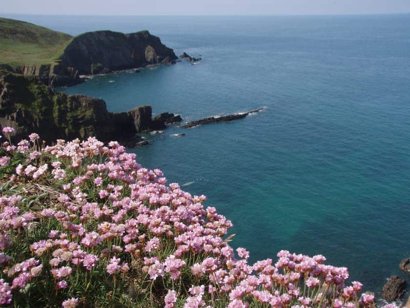 Atlantic House, Smuggler’s Retreat - Smuggler’s Retreat and Atlantic House, Hartland Point