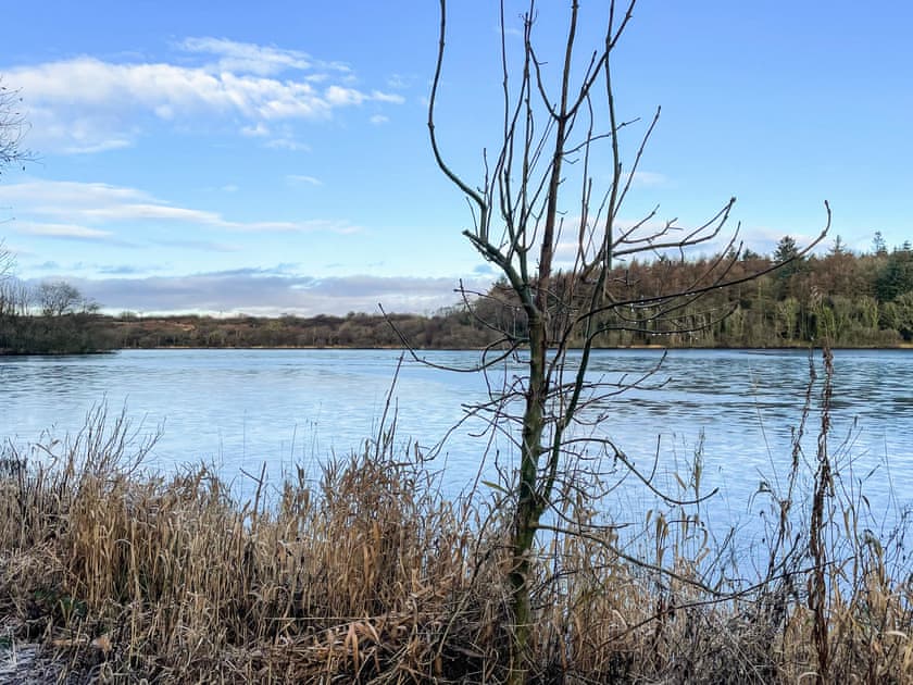 Whitefield Loch a ten minute walk from the cottage  | Machermore Cottage, Glenluce, near Newton Stewart