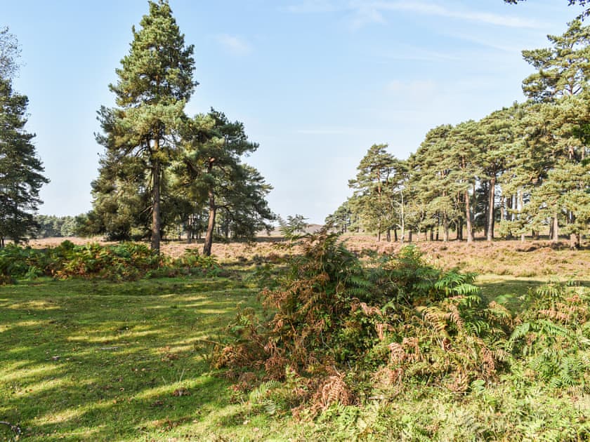 Surrounding area | The Cottage at Dockens Water, Linwood, near Ringwood