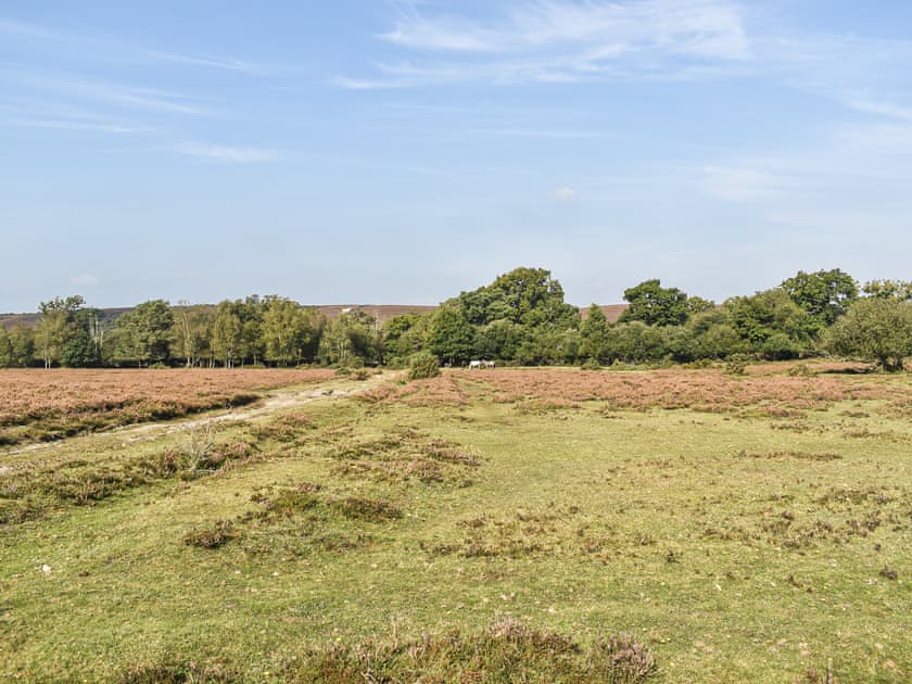 Surrounding area | The Cottage at Dockens Water, Linwood, near Ringwood