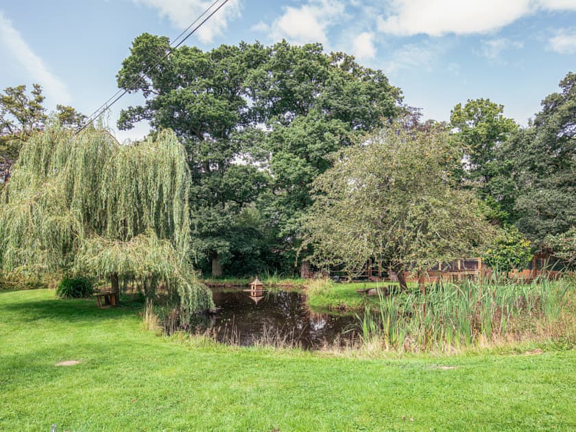 The driveway garden  | The Cottage at Dockens Water, Linwood, near Ringwood