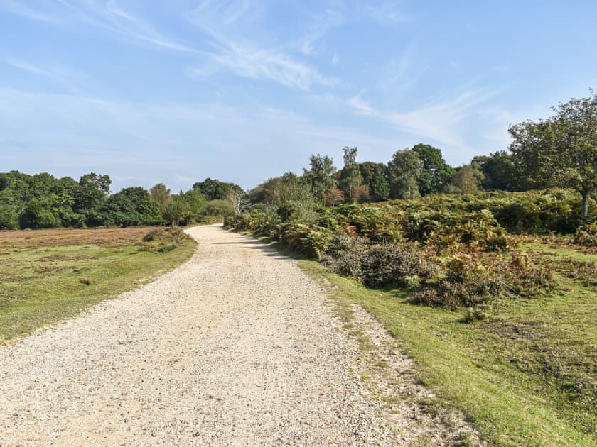 Track leading to property  | The Cottage at Dockens Water, Linwood, near Ringwood