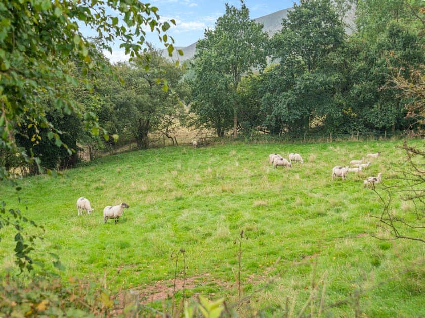 Exterior | Heol Llygoden, Pengenffordd, Talgarth, Brecon