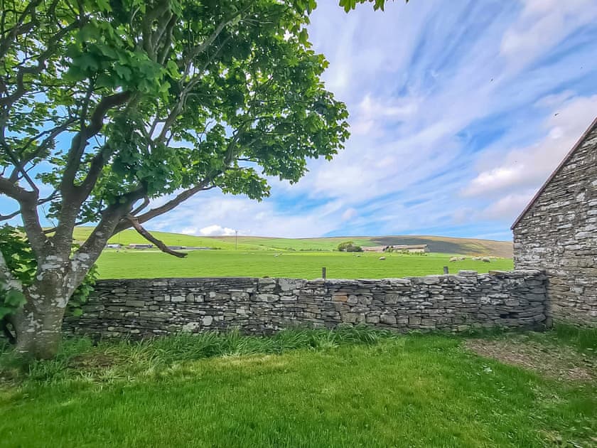 Garden | Quina, Finstown