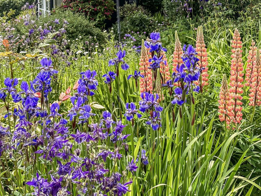 Garden and grounds | The Cottage, Richards Castle, near Ludlow