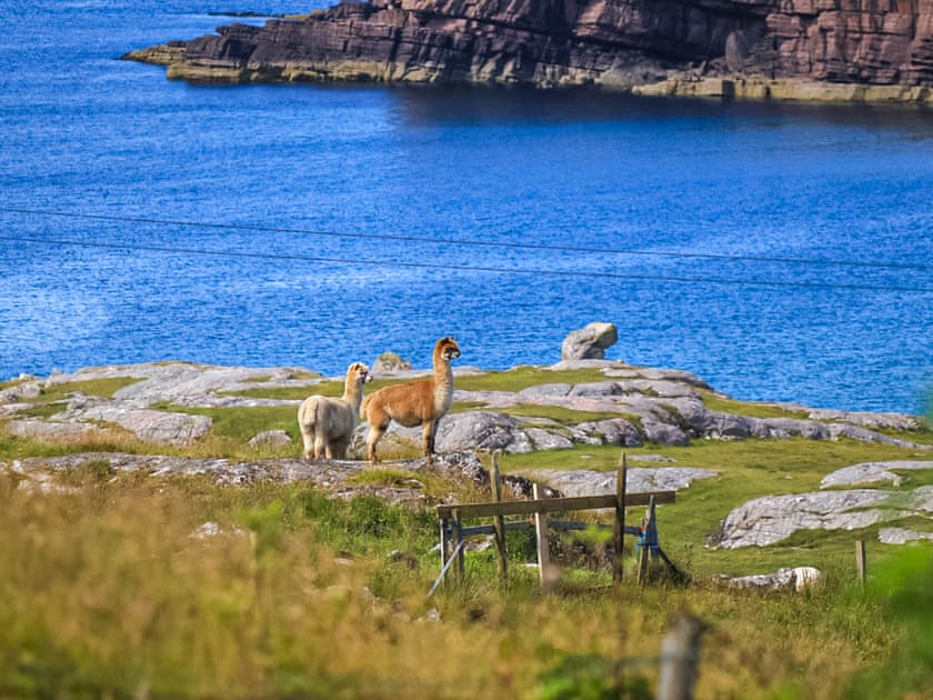 Surrounding area | Aisir Croft, Oldshoremore