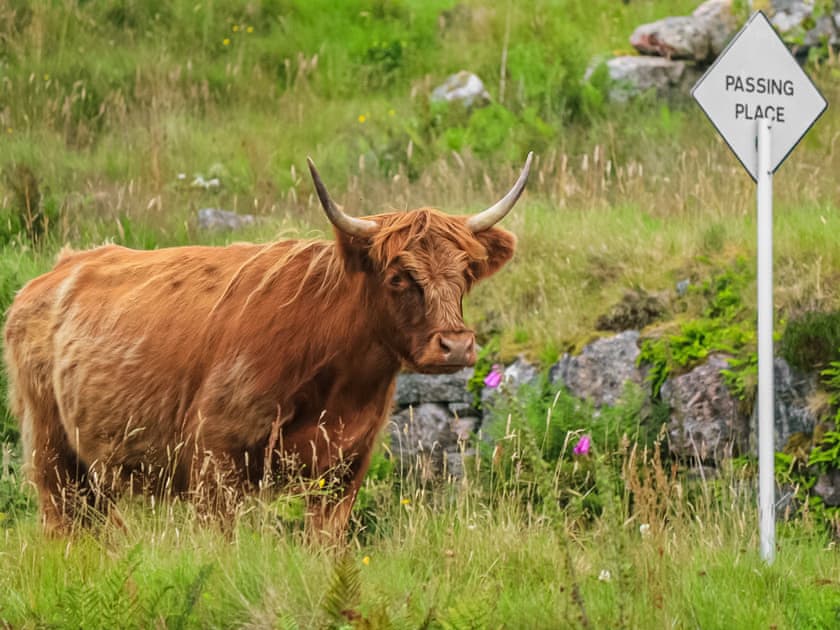 Surrounding area | Aisir Croft, Oldshoremore
