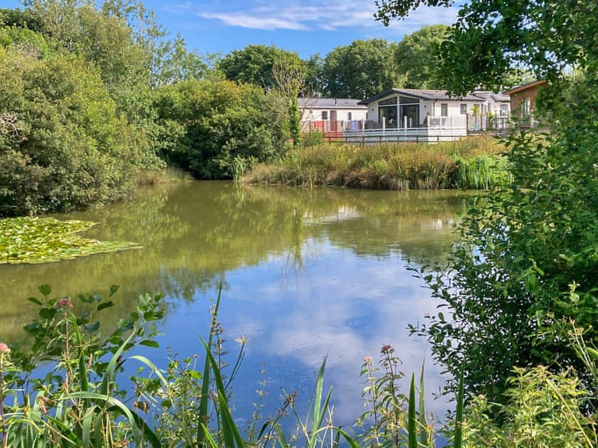 Fishing lakes  | Sandy Toes, Newquay