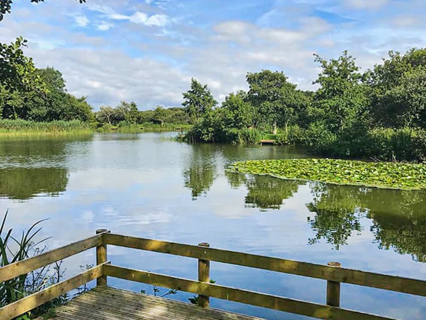Surrounding area | Sandy Toes, Newquay
