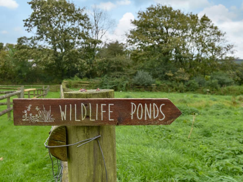 Surrounding area | May Cottage, Hartland
