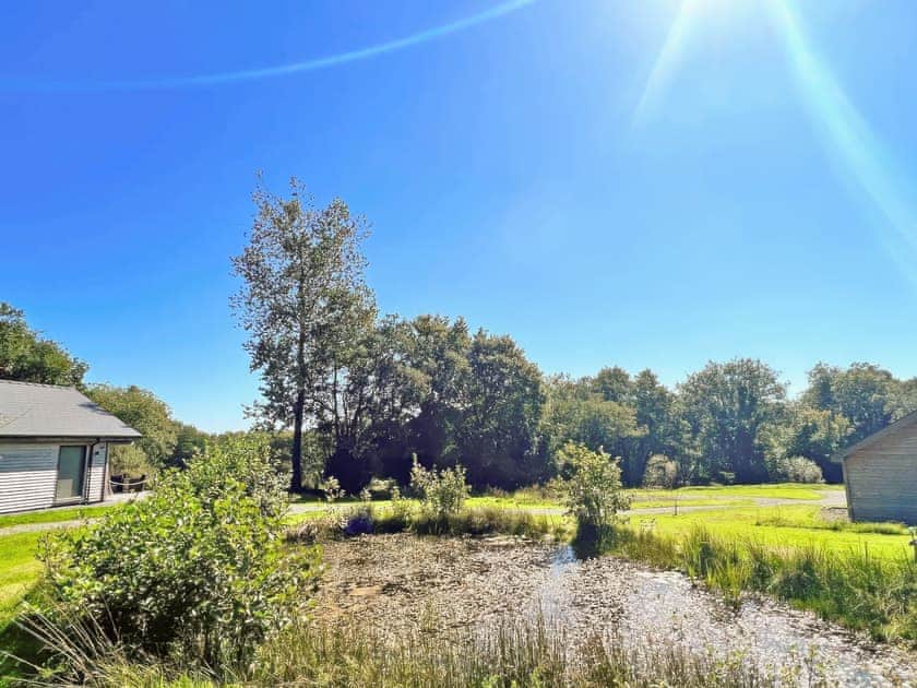Surrounding area | Cadno - Glanyrafon Lodges, Cwrt Newydd, near Llandysul
