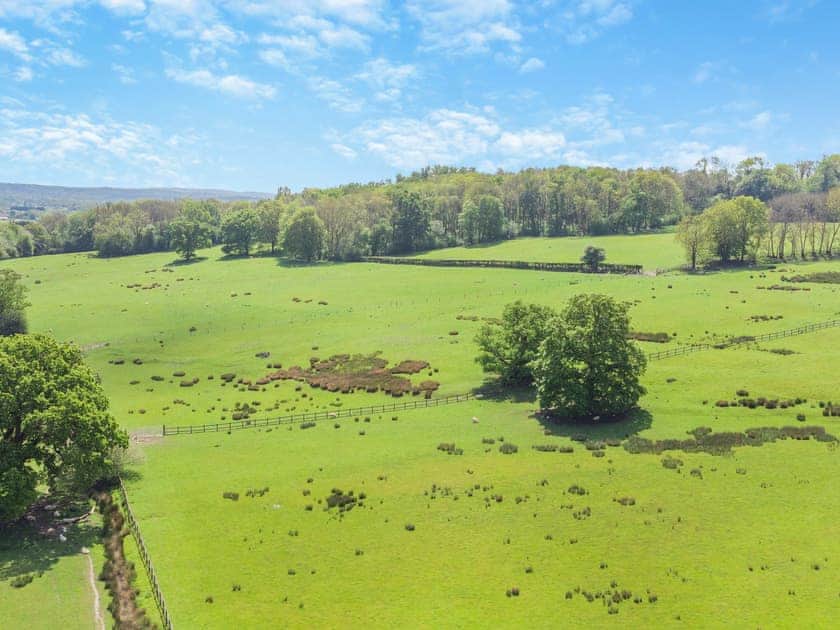 Setting | Cedar Lodge - Broad View Farm, Blacknest, near Alton