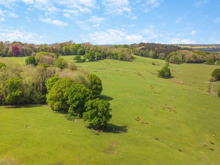 Setting | Cedar Lodge - Broad View Farm, Blacknest, near Alton
