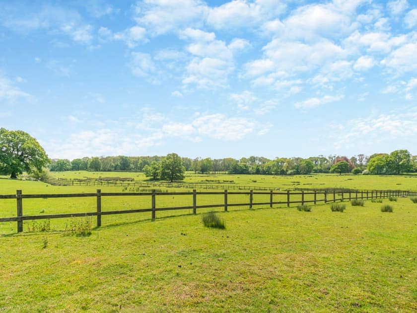 View | Cedar Lodge - Broad View Farm, Blacknest, near Alton