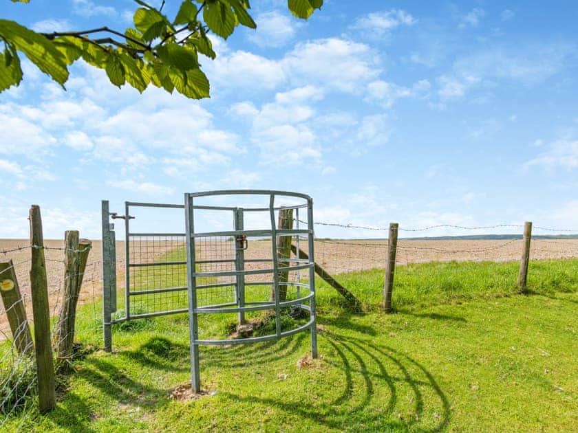 Outdoor | Cedar Lodge - Broad View Farm, Blacknest, near Alton