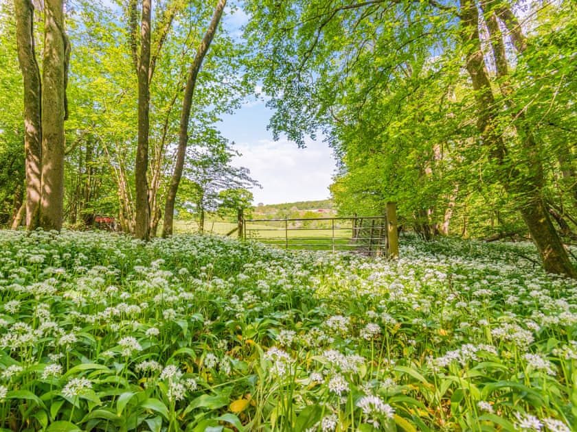 Outdoor | Willow Cottage - Broad View Farm, Blacknest, near Alton