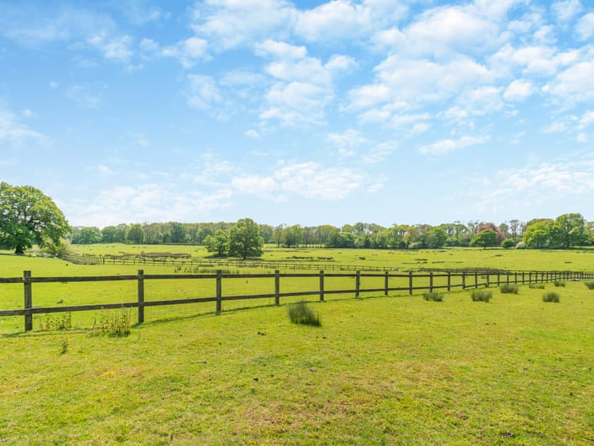 View | Larch Lodge - Broad View Farm, Blacknest, near Alton