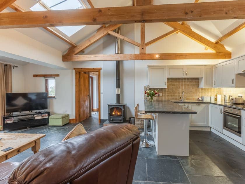 Open plan living space | The Cart House - Golden Park, Hartland
