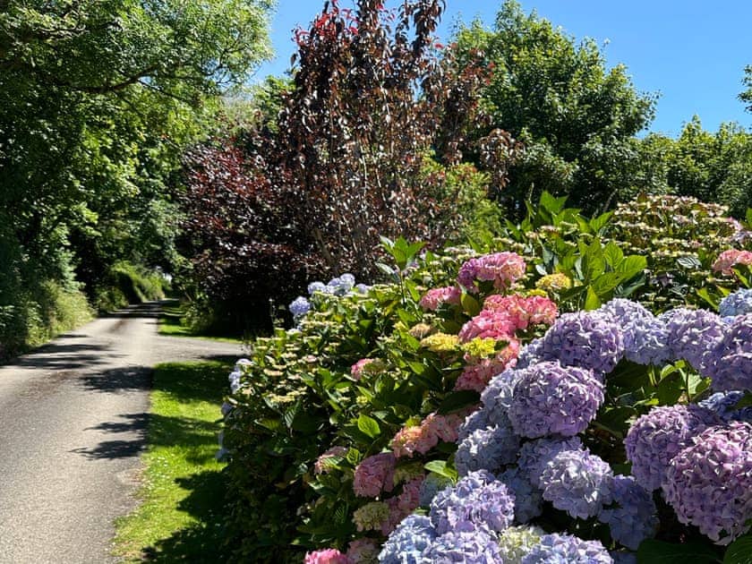 Surrounding area | The Cart House - Golden Park, Hartland