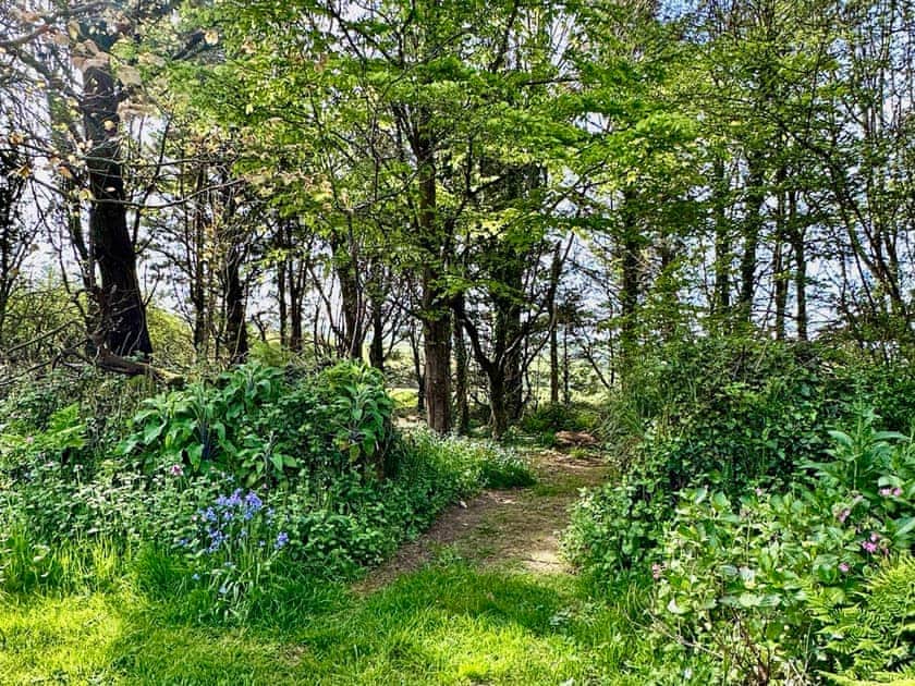 Surrounding area | The Cart House - Golden Park, Hartland