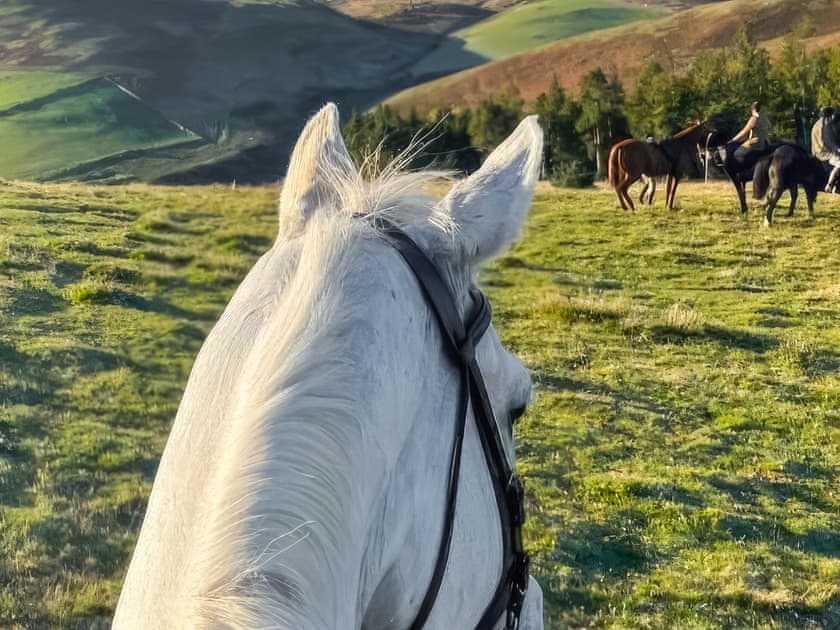Surrounding area | Stewards Bothy - East Learmouth Farmstays, Berwick-upon-Tweed