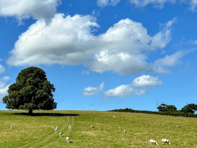 Surrounding area | The Old Stables, Presteigne