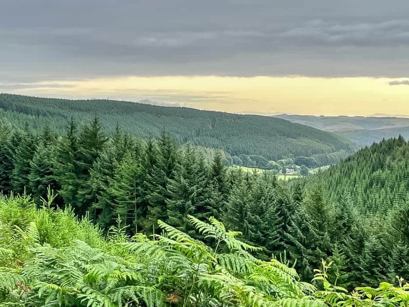 Surrounding area | The Old Stables, Presteigne