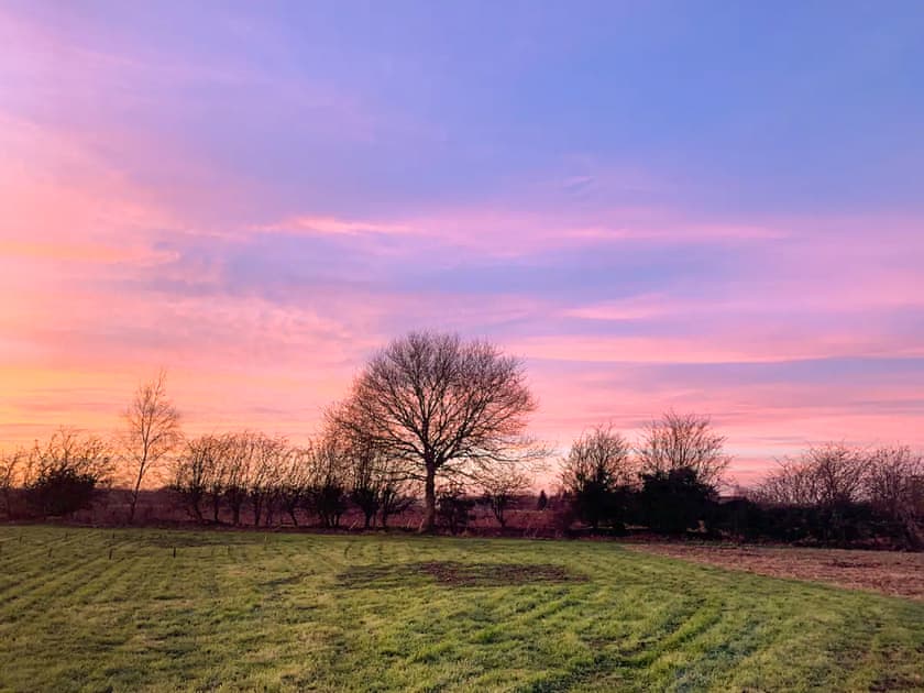 View | Butterfly Roundhouse - The Roundhouses, South Walsham